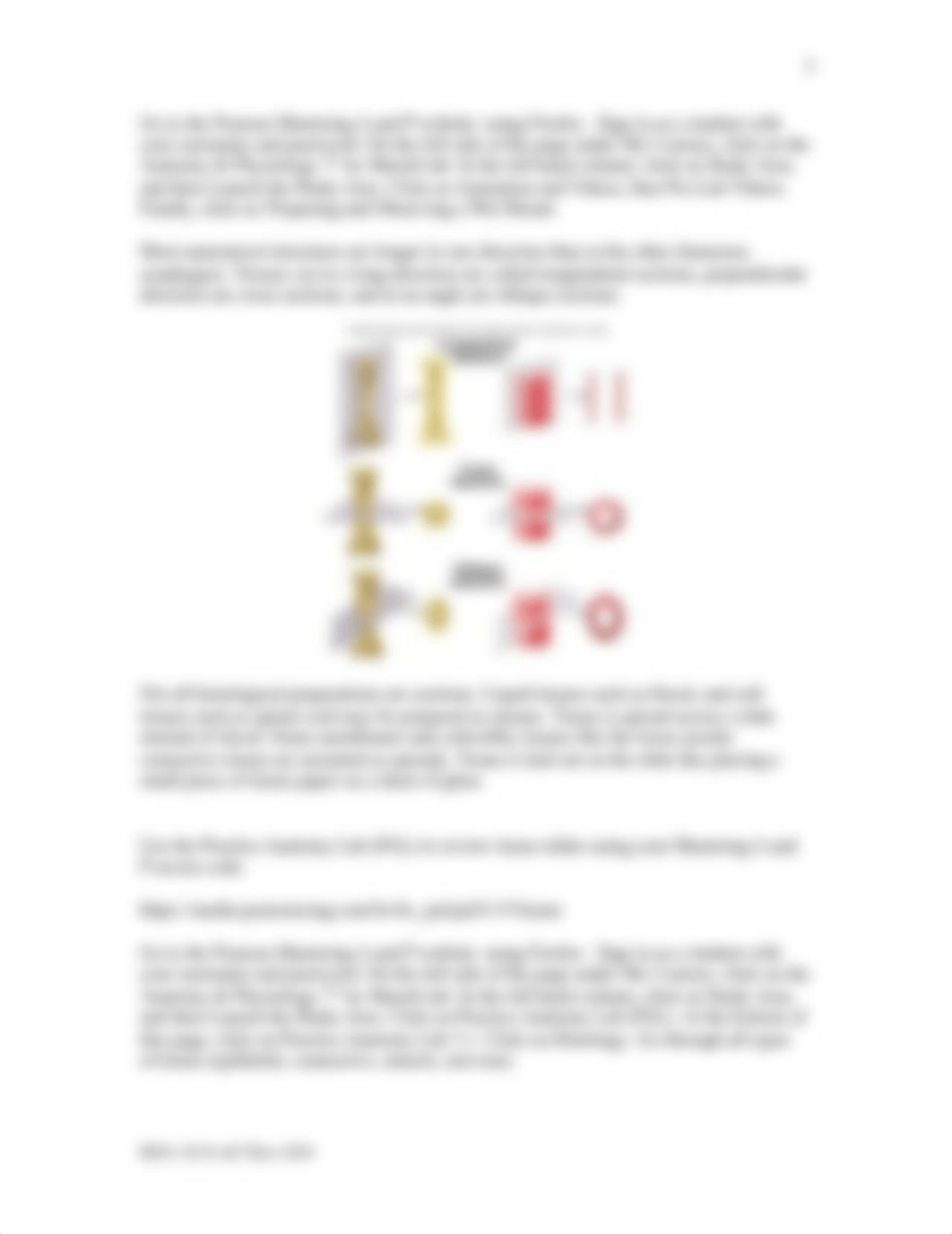 Lab Three - Histology, Integumentary System.doc_dv7n5s5a9gq_page3