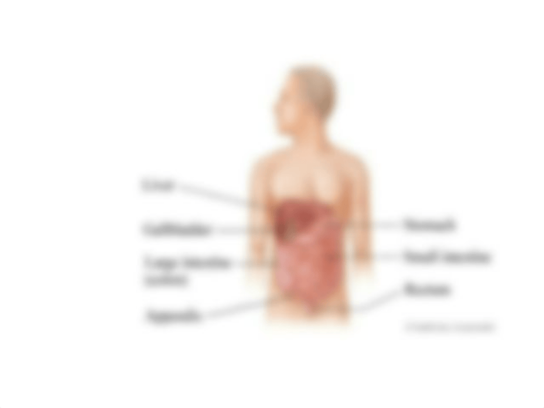 abdominal assessment_dv7rkqv0d9v_page4