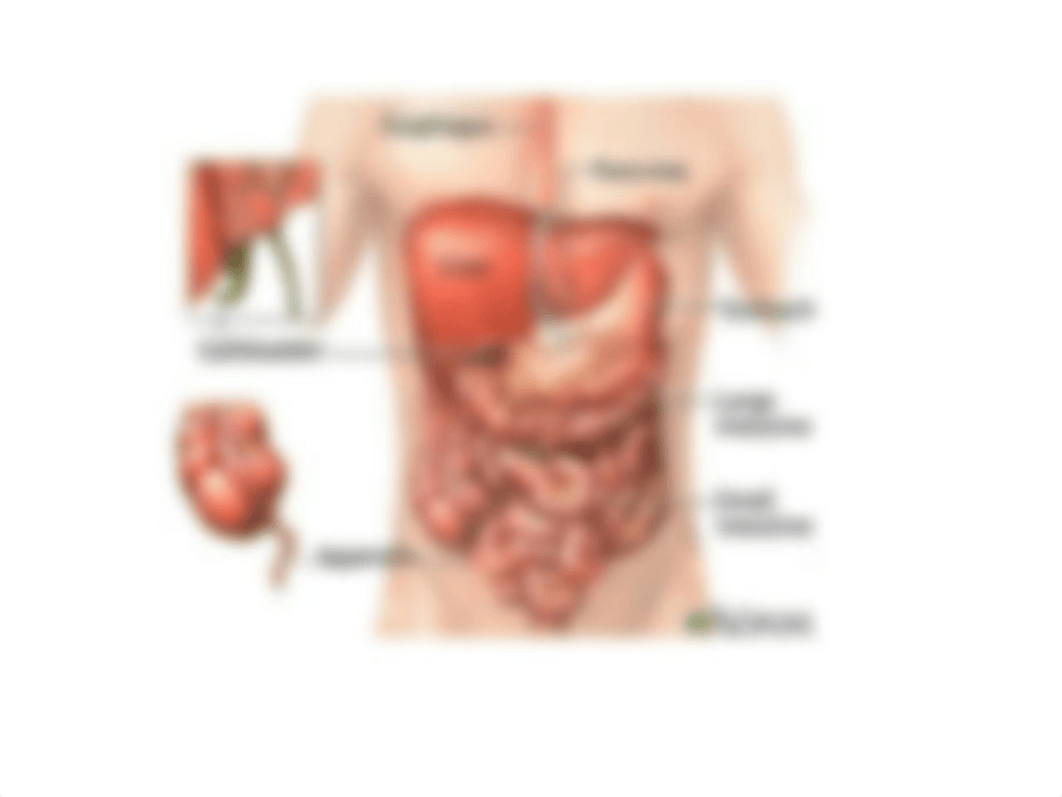 abdominal assessment_dv7rkqv0d9v_page3