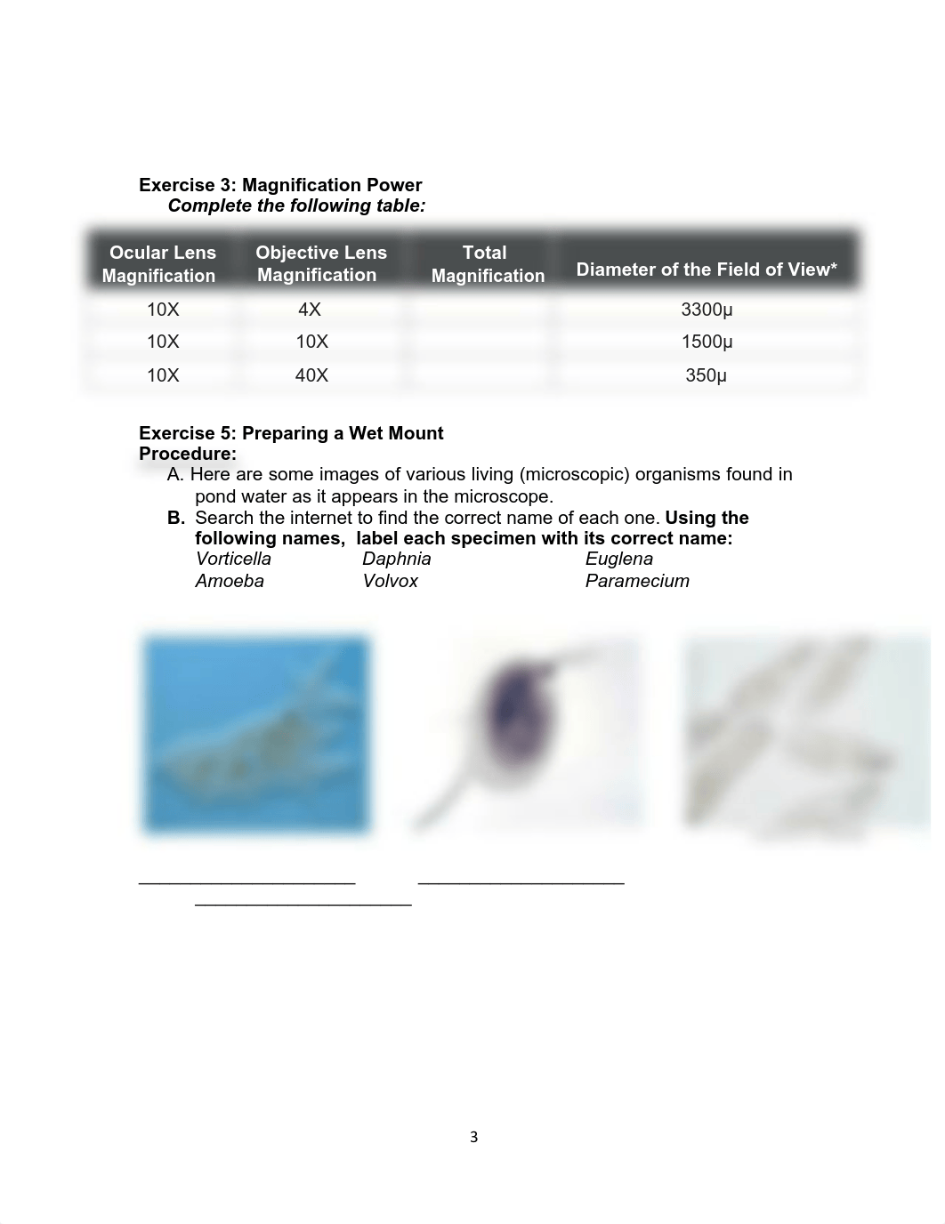 biolab3.pdf_dv7ti4h65yr_page3