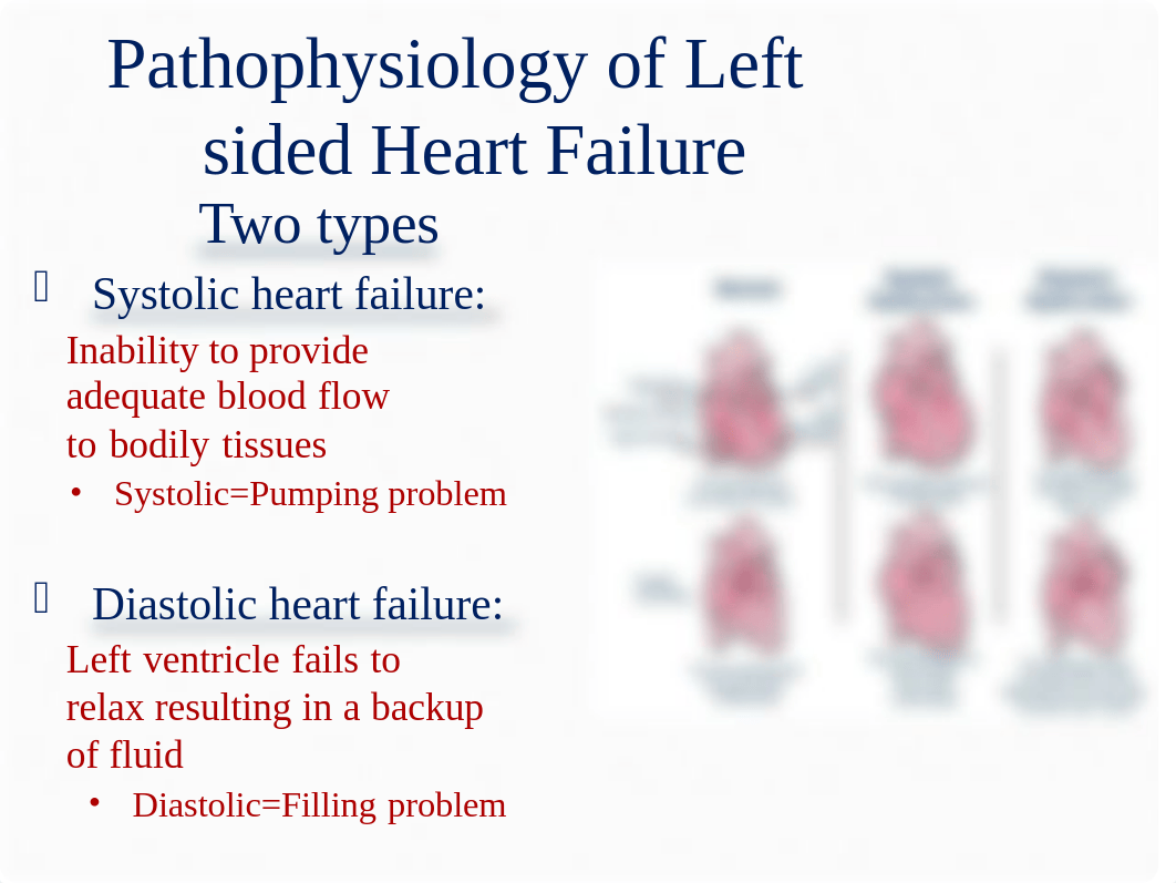 A&P LAB pathophysiology of heart failure powerpoint.pptx_dv82qa71pot_page5