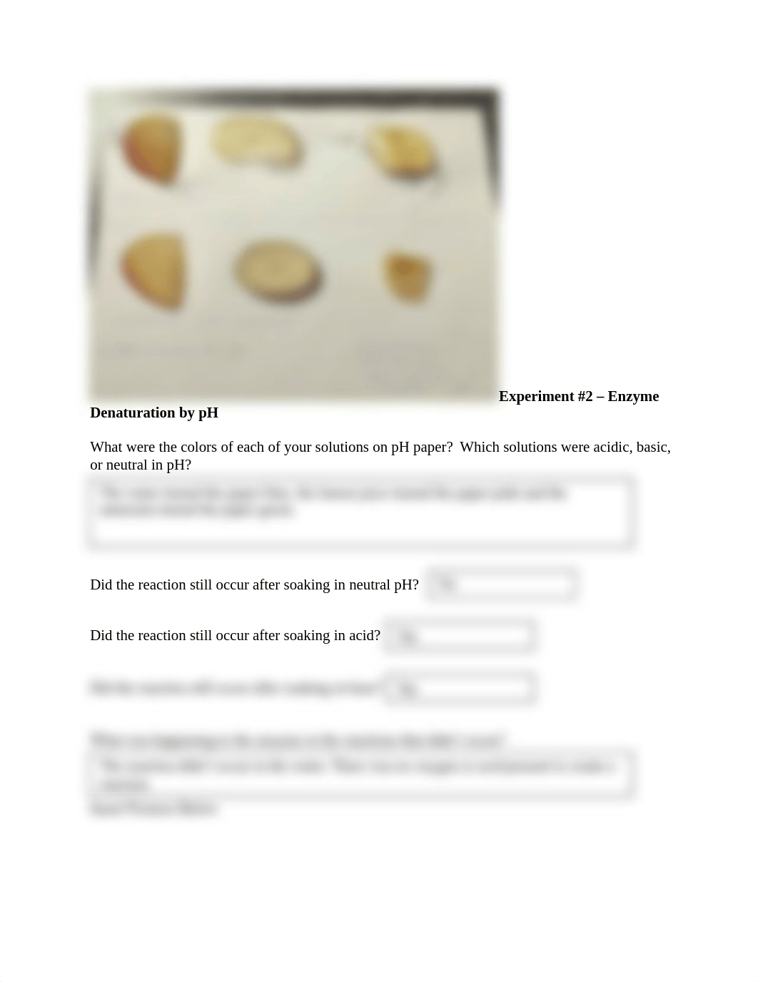 Enzymes Experiment.docx_dv83rfp177y_page2