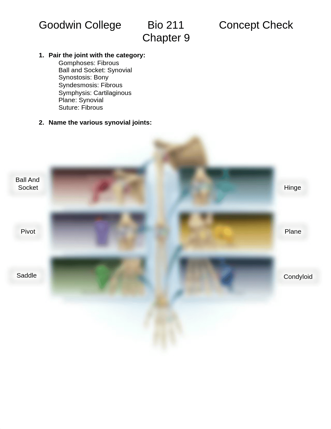 Chapter 9 Concept Check.pdf_dv8d1tufwy0_page1