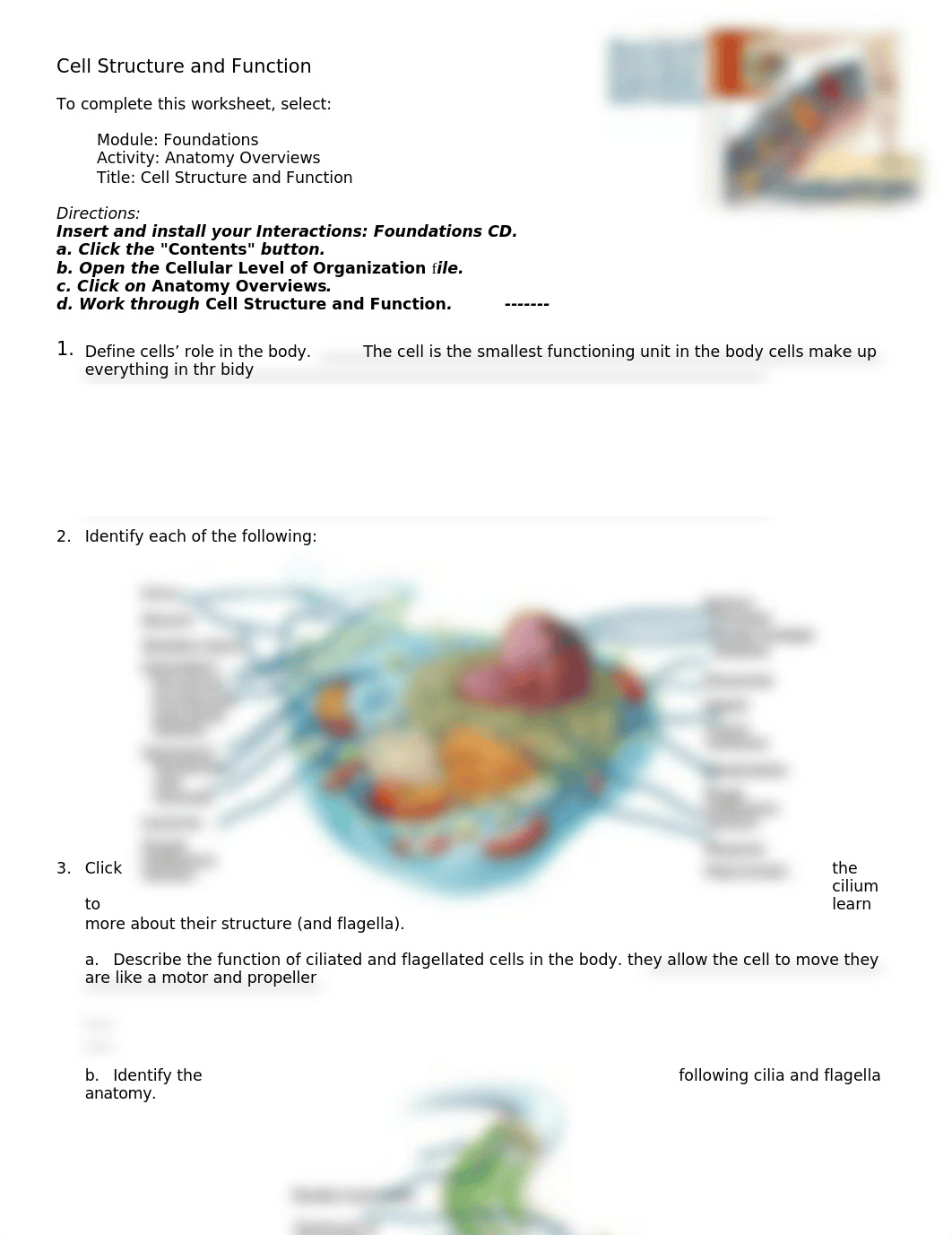 chapter 3 cell structure .doc_dv8hzq6byys_page1