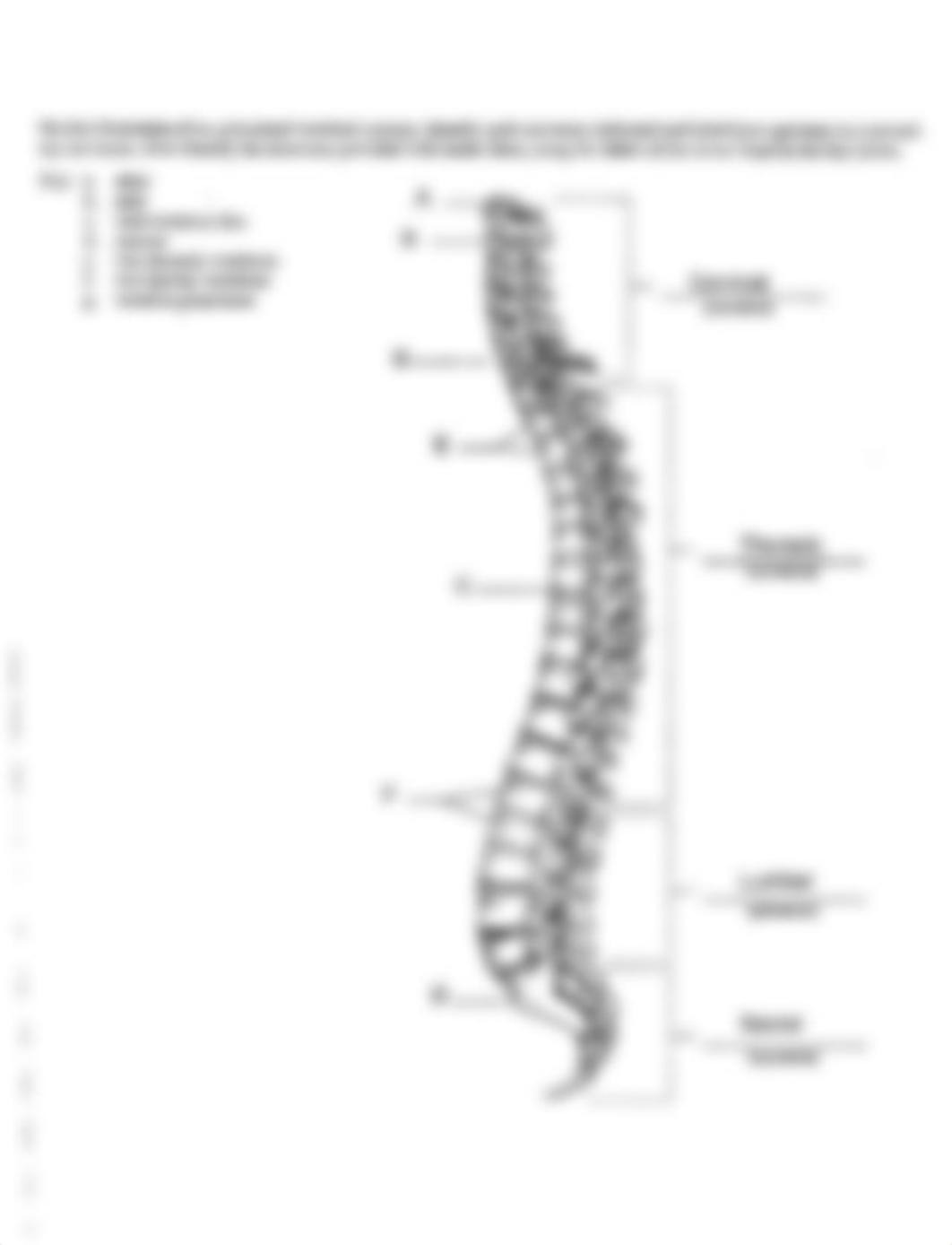 Skeletal Review_Vertebral Column.pdf_dv8jhzqm1h0_page1