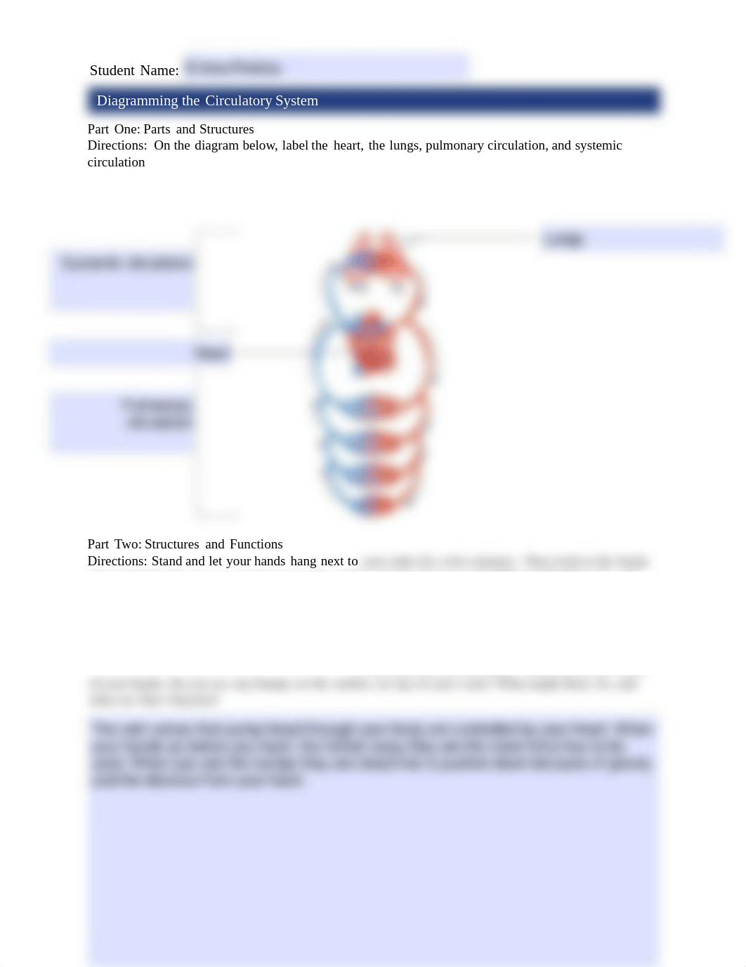 7.2_CirculatorySystem_worksheet.pdf_dv8k25lkf5e_page1