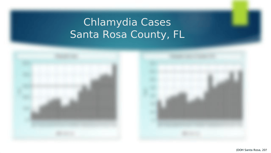 Chlamydia Service Learning PPT.pptx_dv8l7lgo0ui_page4