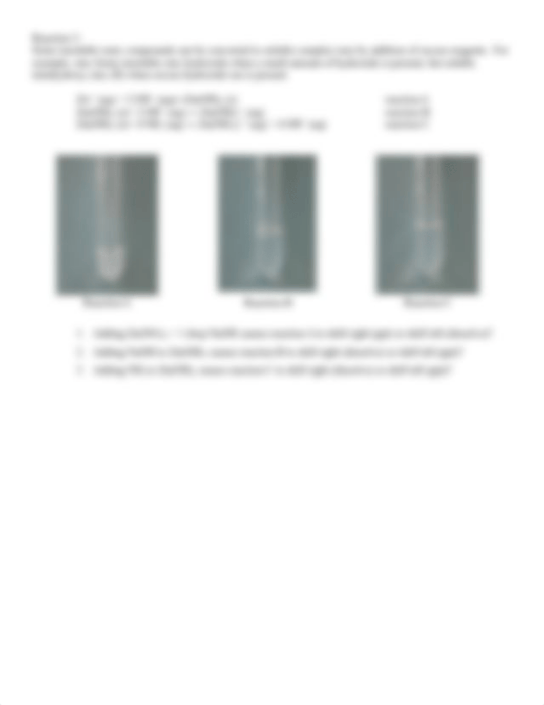 Virtual Lab 8-Investigating Equilibrium.docx_dv8ot0e1y5n_page3