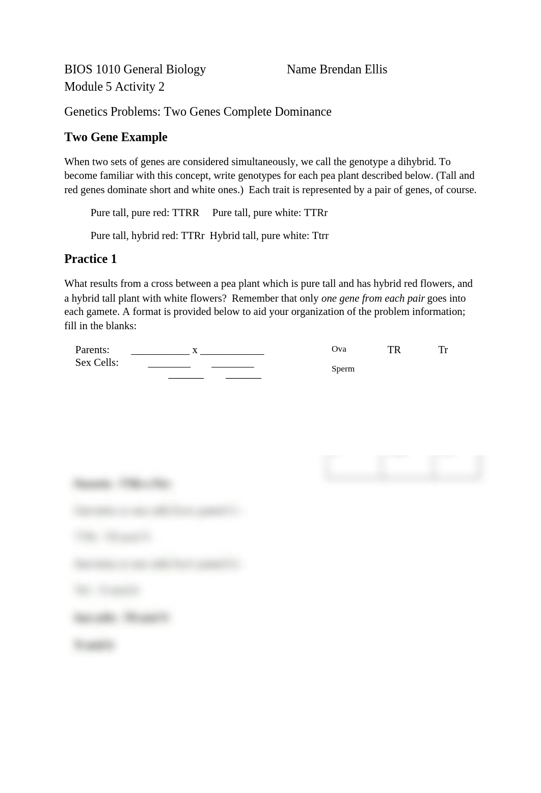 Module 5 Activity 2 Two Gene Complete Dominance Crosses (1).docx_dv8pe5npn6y_page1