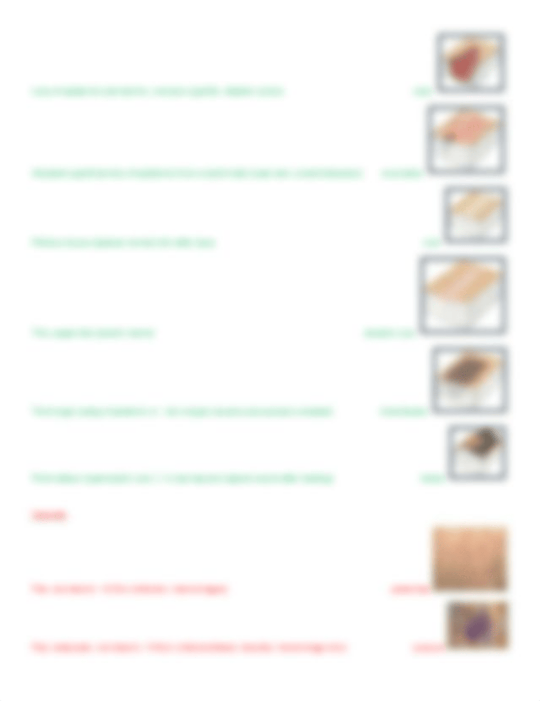 types of lesions pics&definitions.docx_dv8qk0moct8_page4