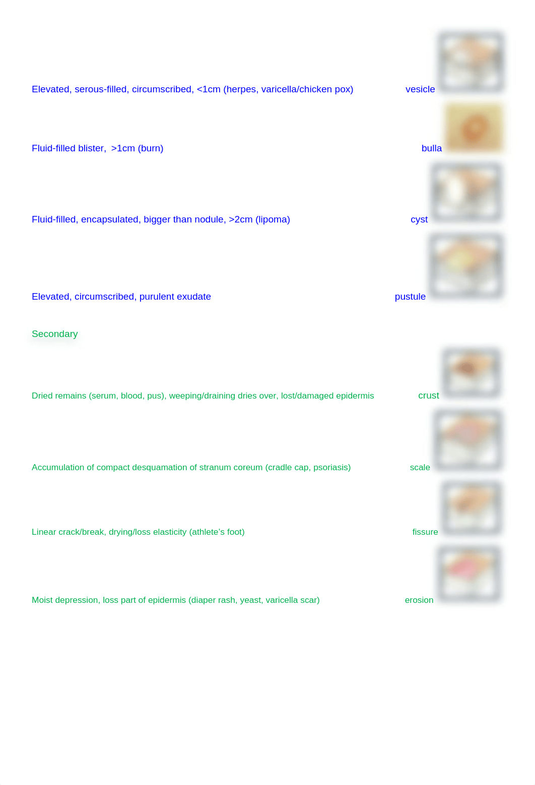 types of lesions pics&definitions.docx_dv8qk0moct8_page3