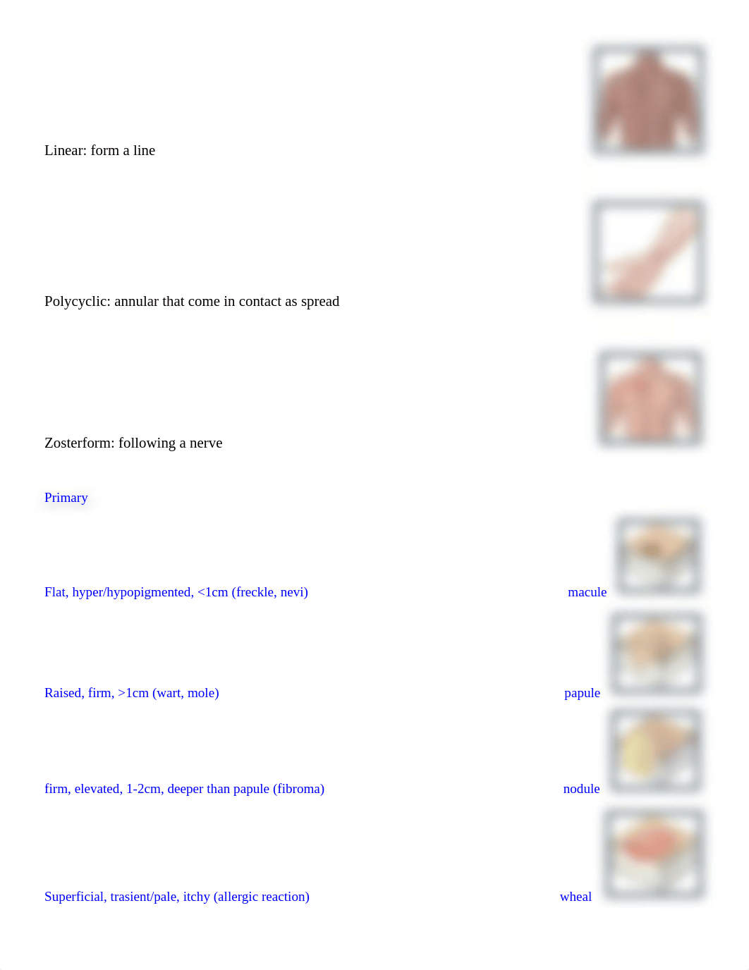 types of lesions pics&definitions.docx_dv8qk0moct8_page2