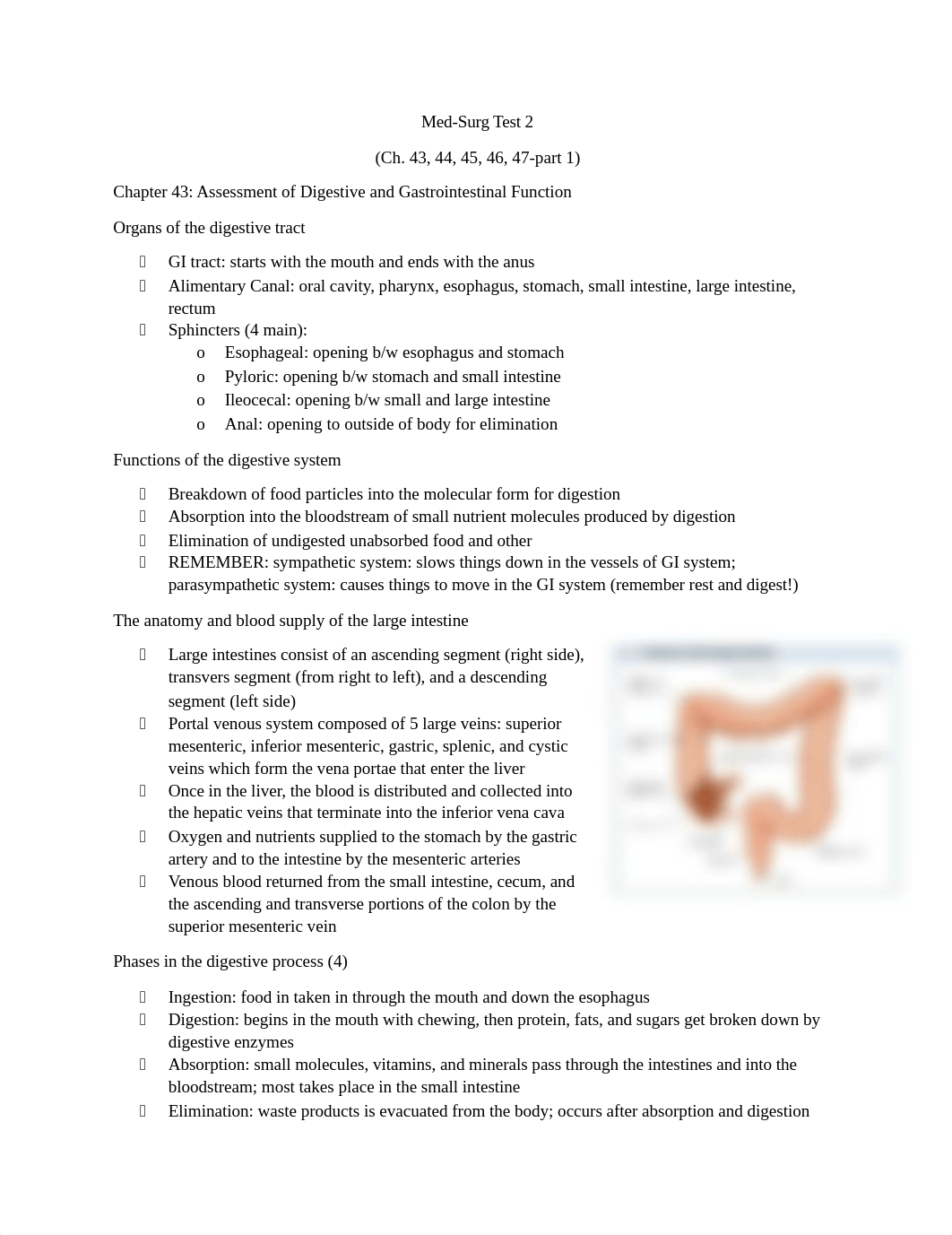 med-surg study guide test 2.docx_dv8tej4654f_page1