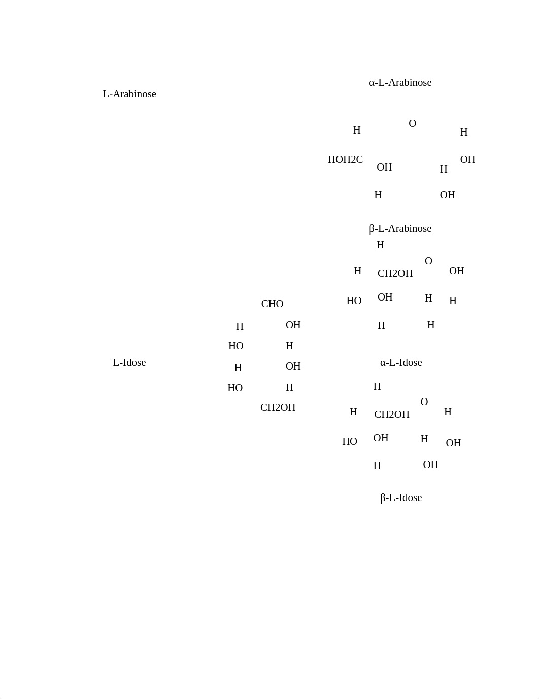 Fischer-and-Haworth-Projection.docx_dv8uxn33qwx_page3