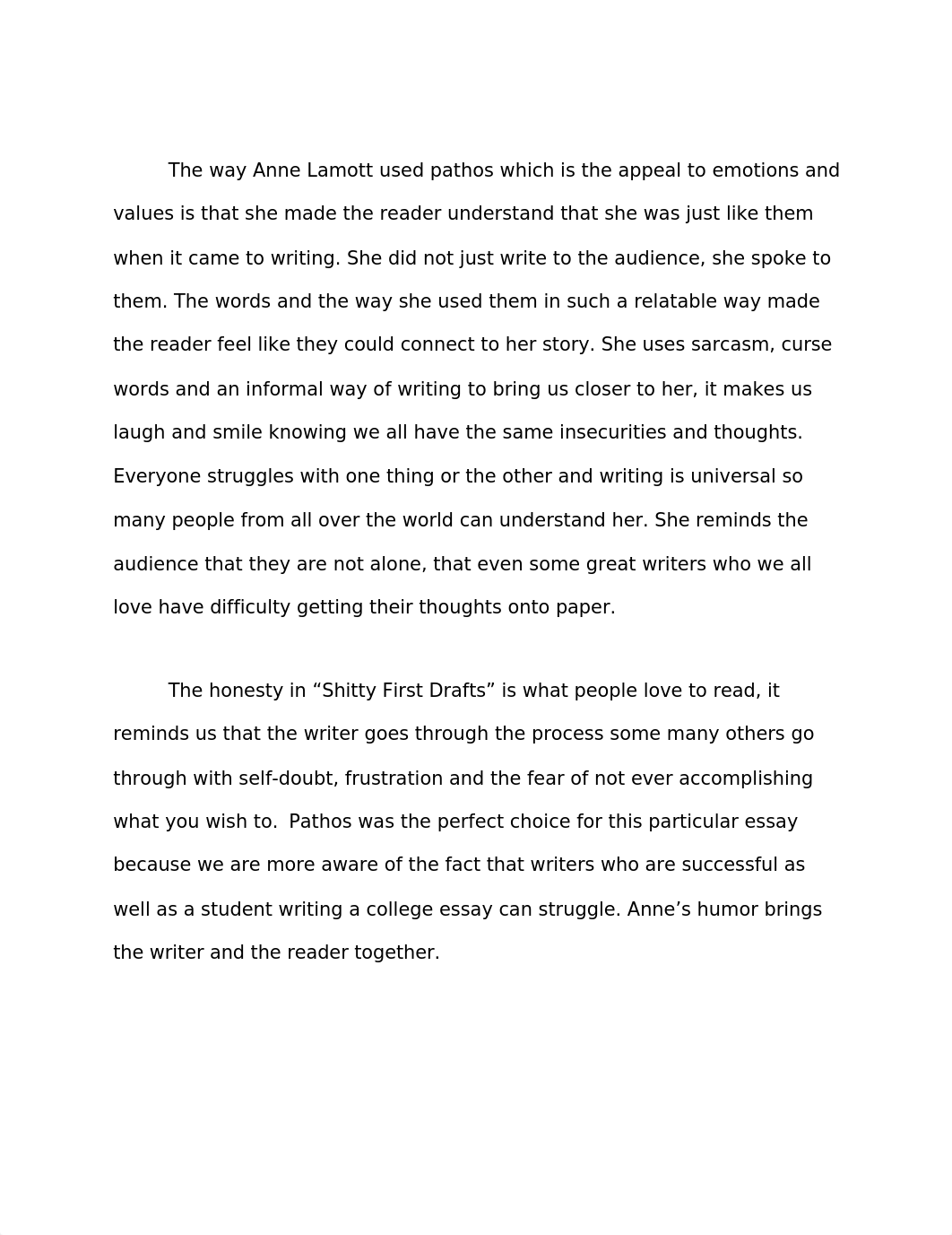 Thoughts on Shitty First Drafts_dv8wvnsfrws_page2