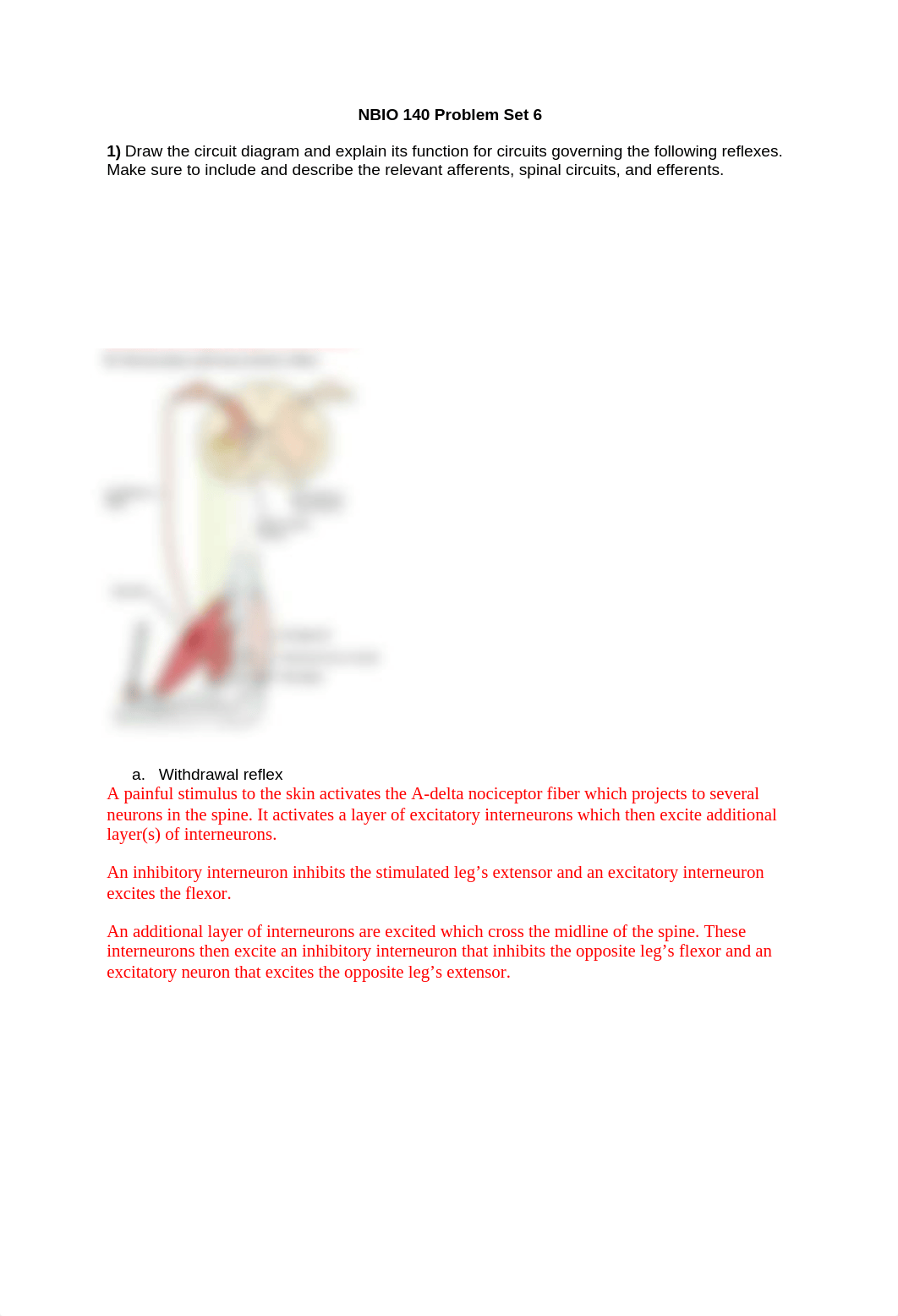 6 NBIO 140 Problem Set 6 w Answers.docx_dv8yulh6lbp_page1