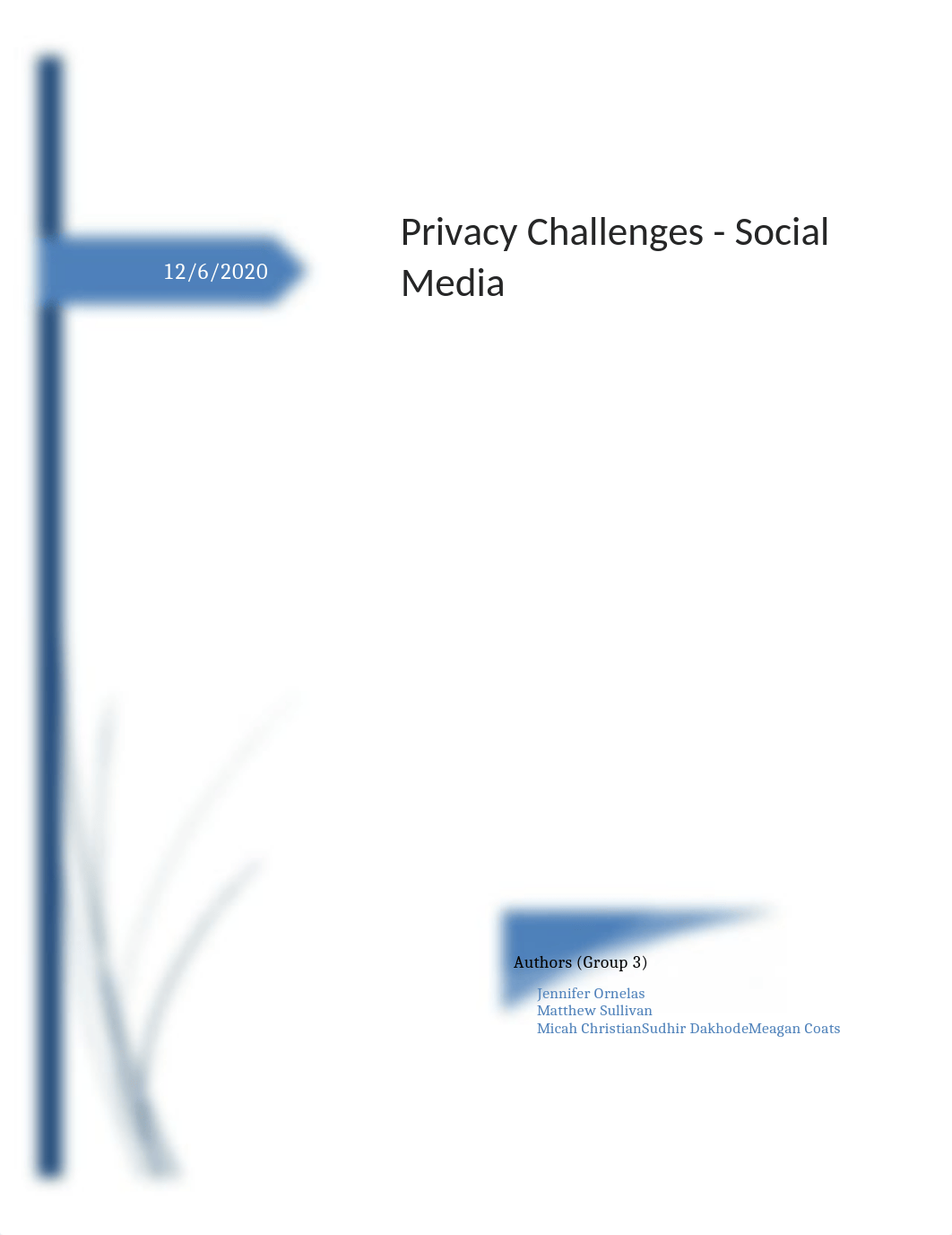 PrivacyChallenges_Group3_v1.0.docx_dv9ebe41ia8_page1