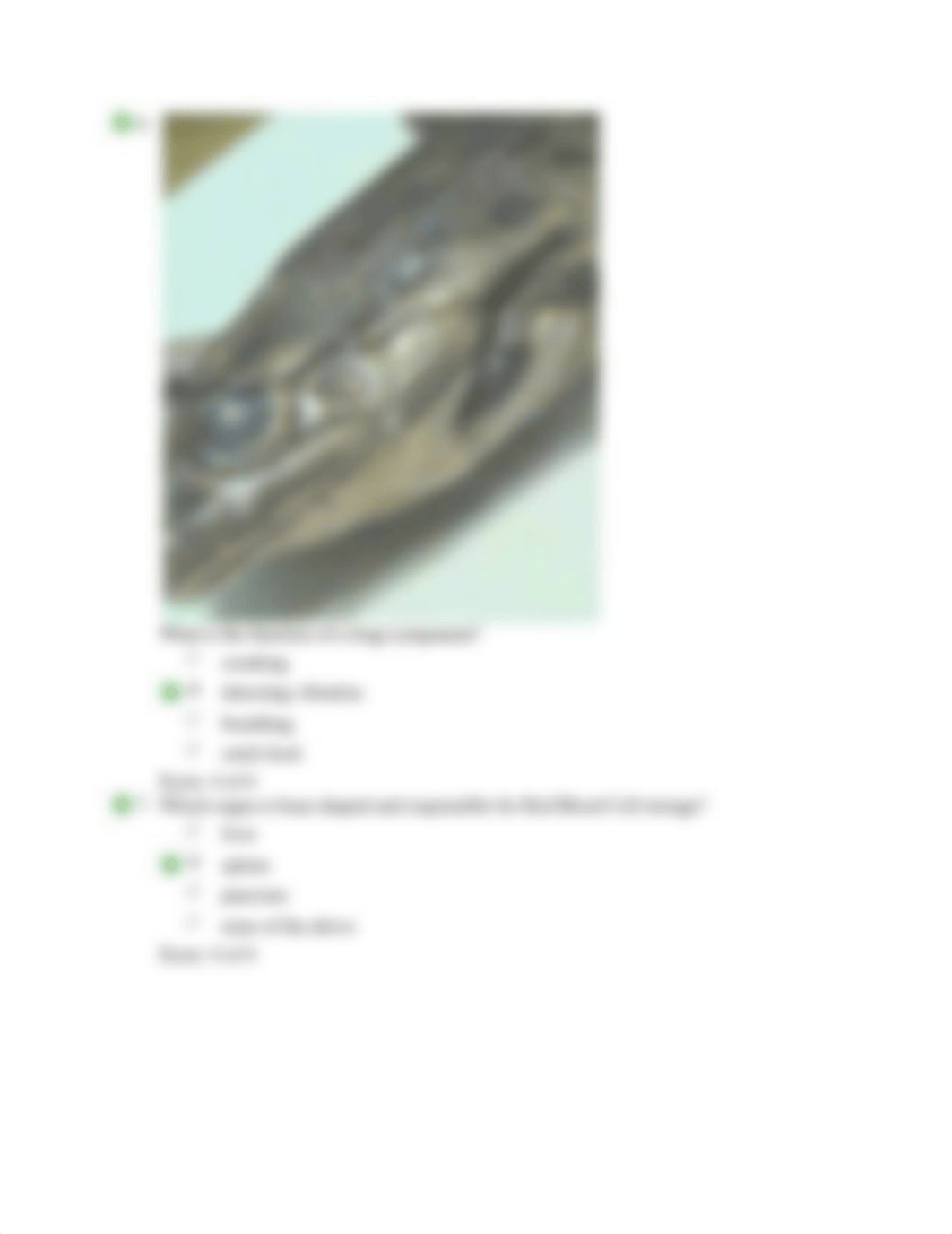 8_05 Frog Dissection Quiz.docx_dv9iu906ntk_page2