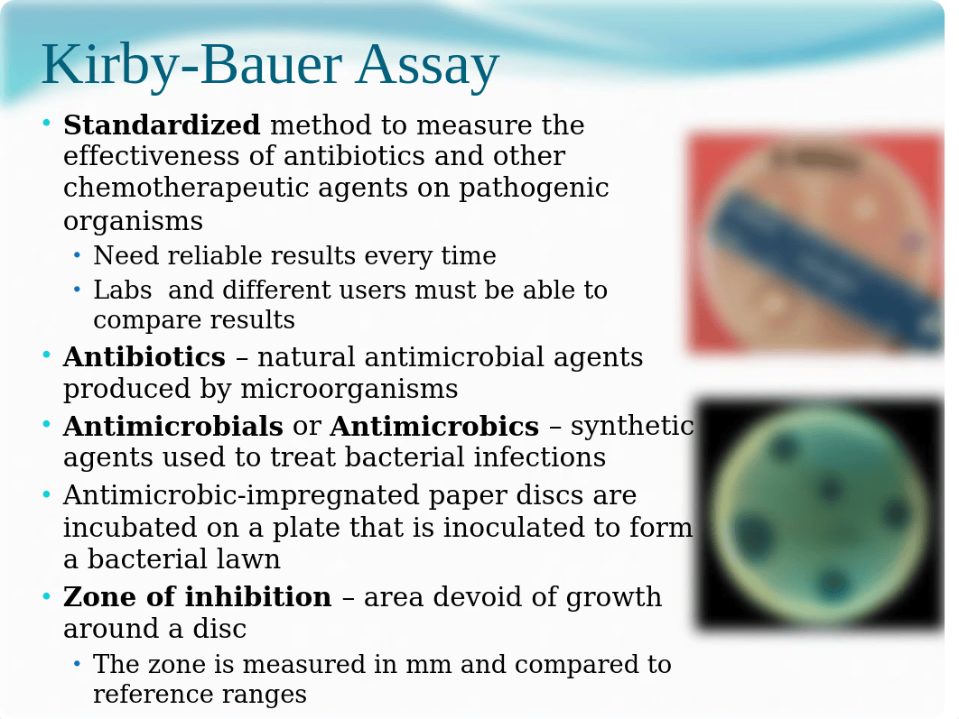 KirbyBauer & Disk Diffusion.pptx_dv9lu85nk71_page2
