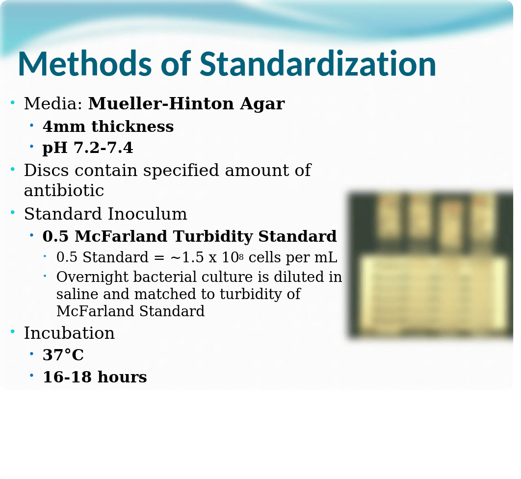 KirbyBauer & Disk Diffusion.pptx_dv9lu85nk71_page3