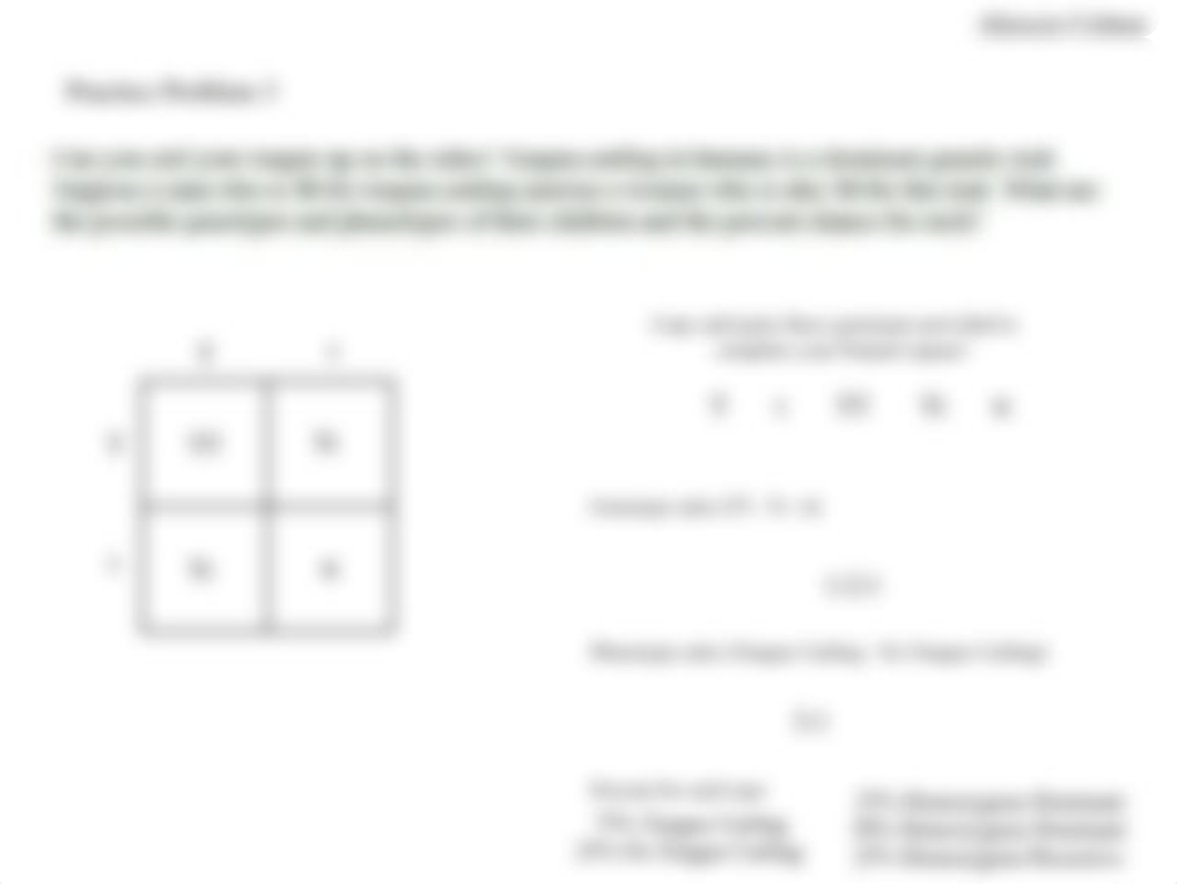 Punnet square Practice assignment.pdf_dv9psmdcnza_page3