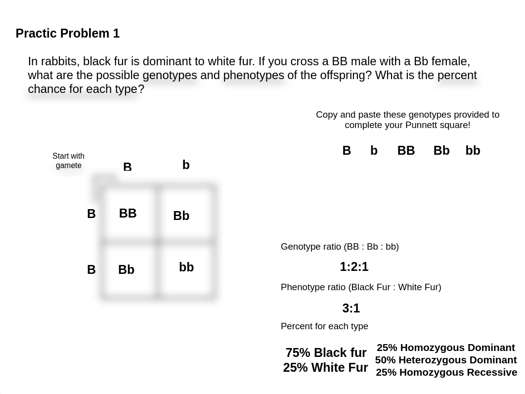 Punnet square Practice assignment.pdf_dv9psmdcnza_page1