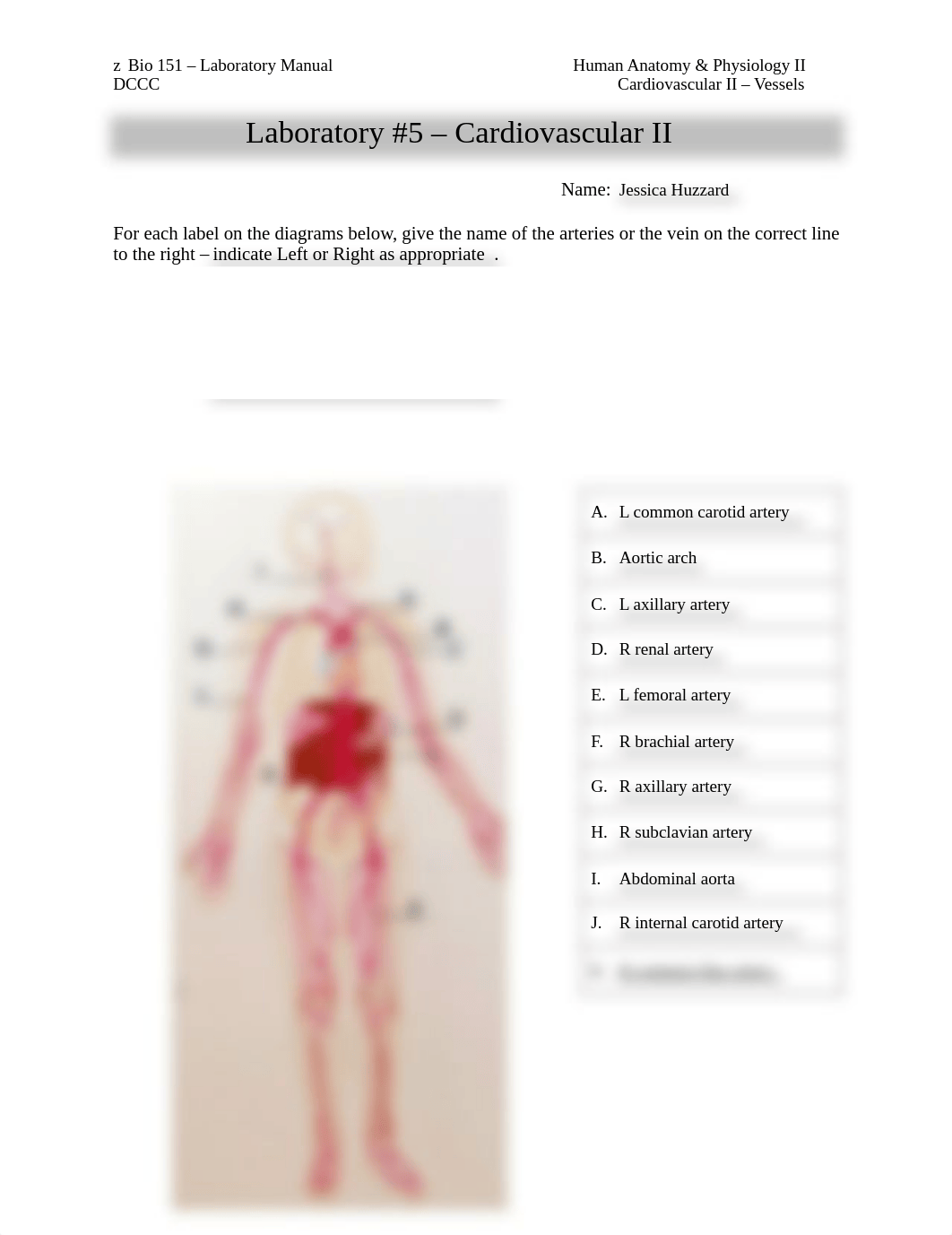 BIO 151 Lab #5 Cardiovascular JONEN.pdf_dv9vhggp00x_page1