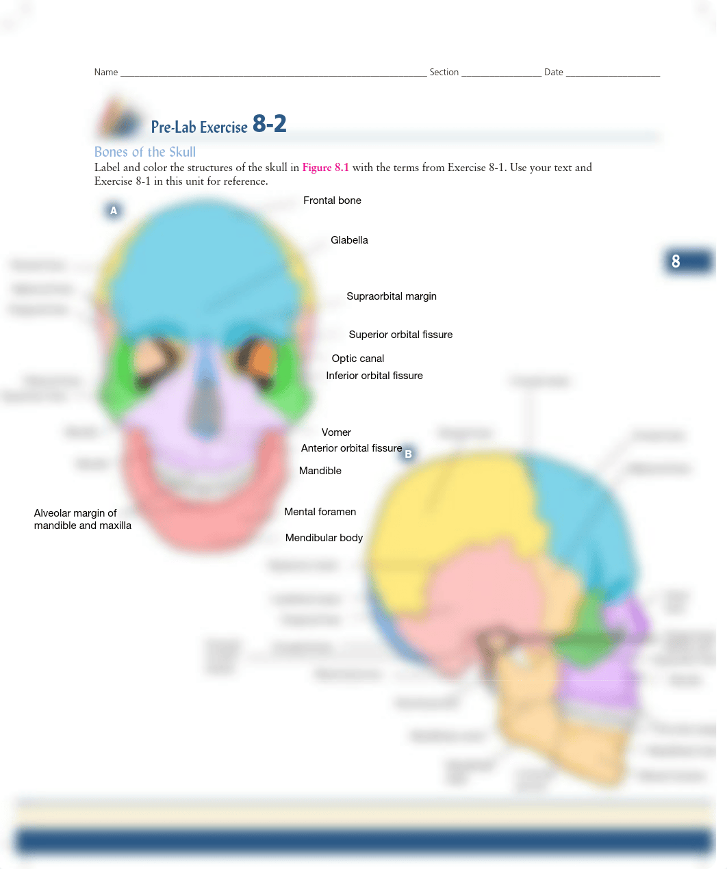 Unit 8 pre lab ex 8-2.pdf_dv9y73oavoe_page1