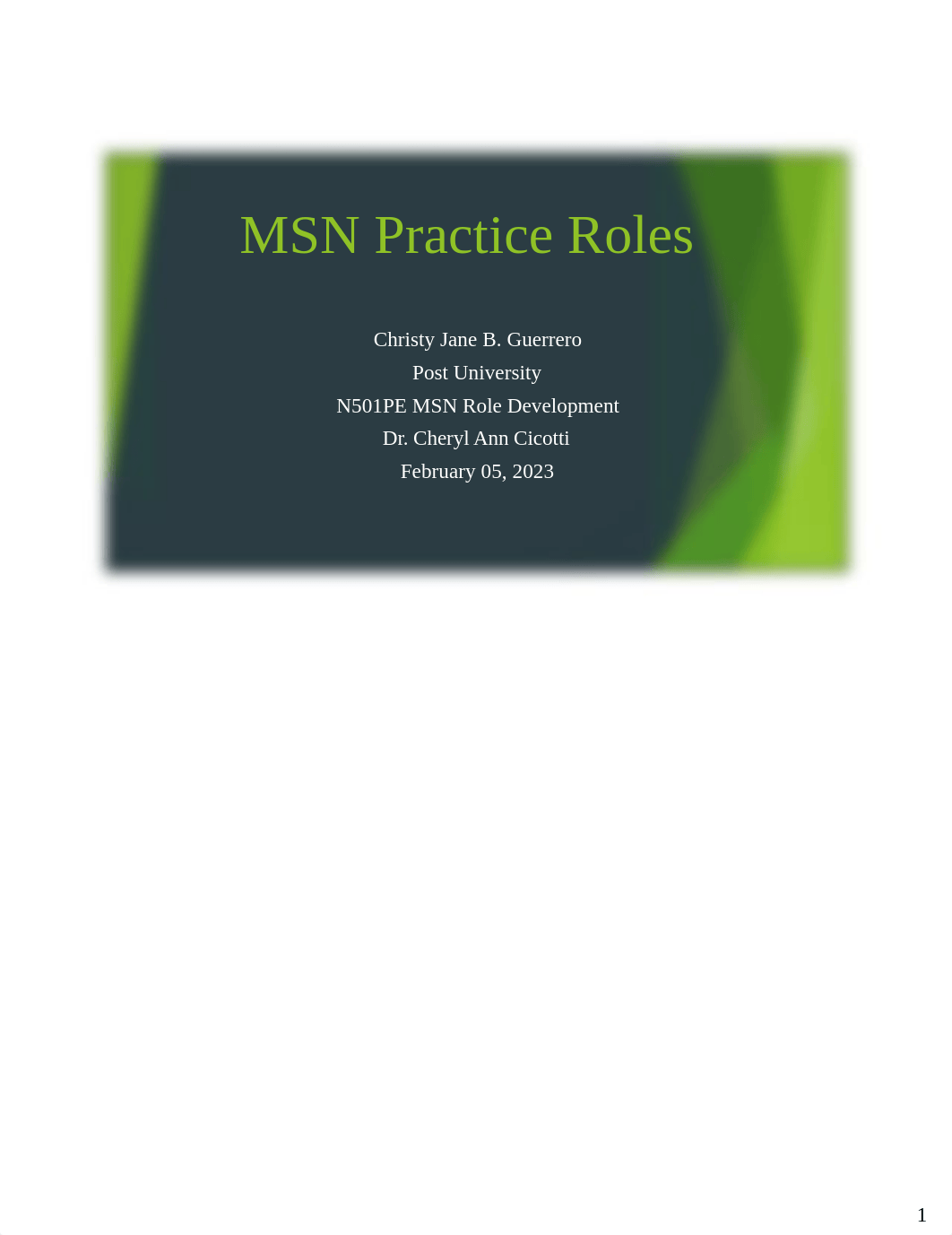 MSN Practice Roles_Notes.pdf_dva235b1nu0_page1