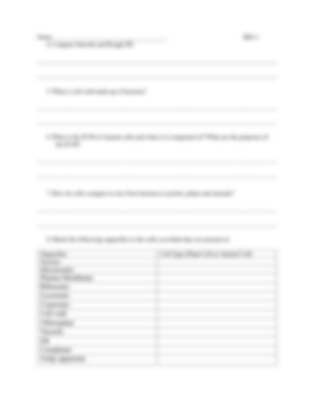 Chapter 4 Worksheet Updated (1).pdf_dva81o4zl01_page5