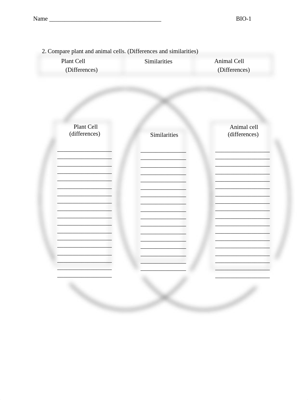 Chapter 4 Worksheet Updated (1).pdf_dva81o4zl01_page3