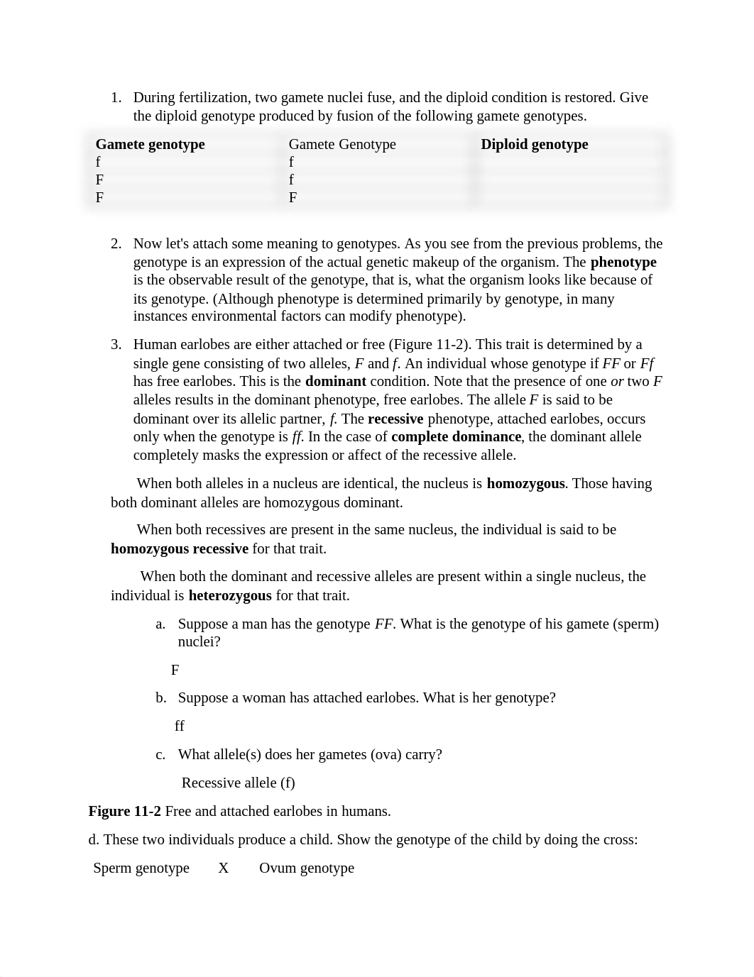 Lab 11.pdf_dva883ji42v_page2