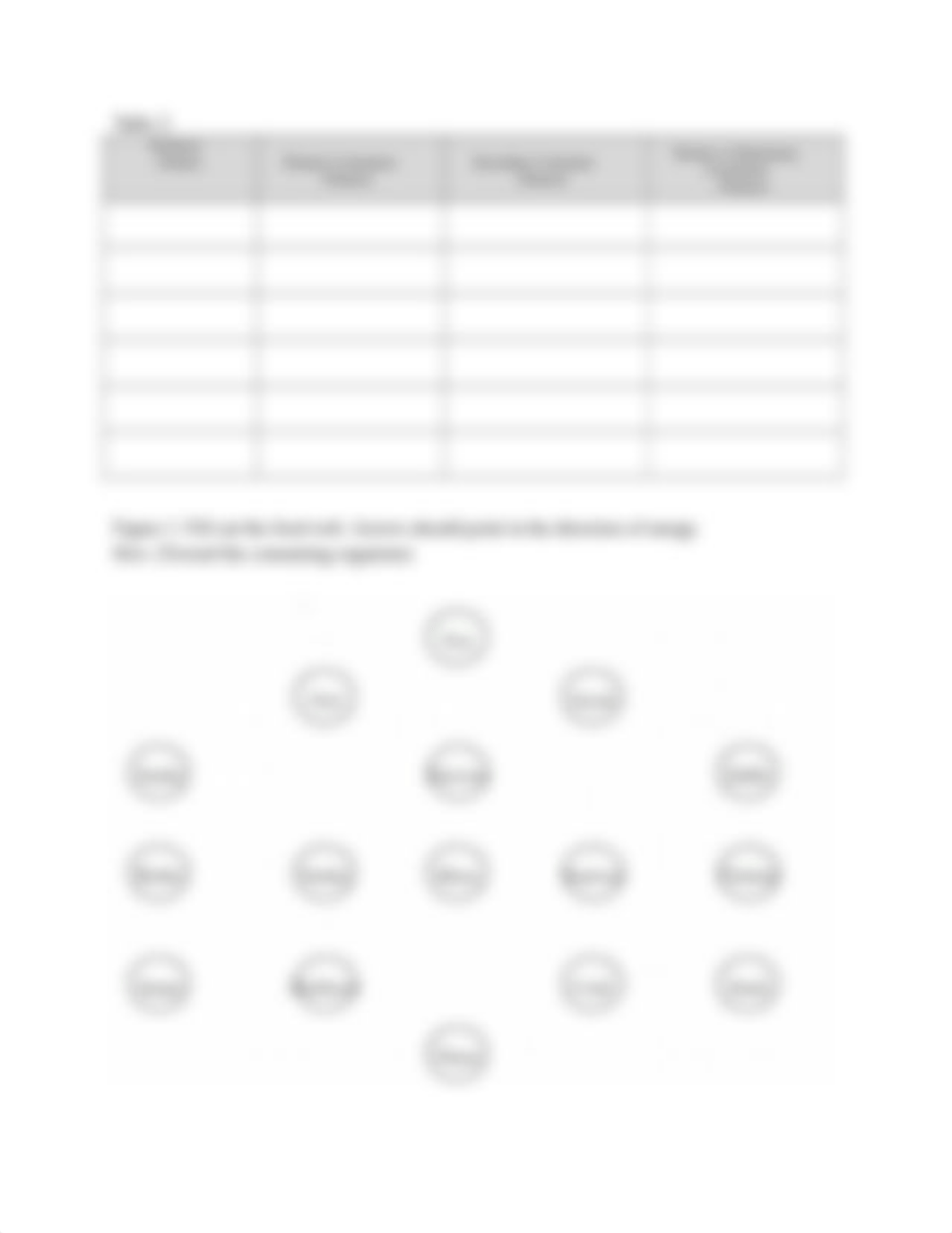 BIO 105 lab 13 Assignment Sheet (1).docx_dvaaxzvo1im_page2