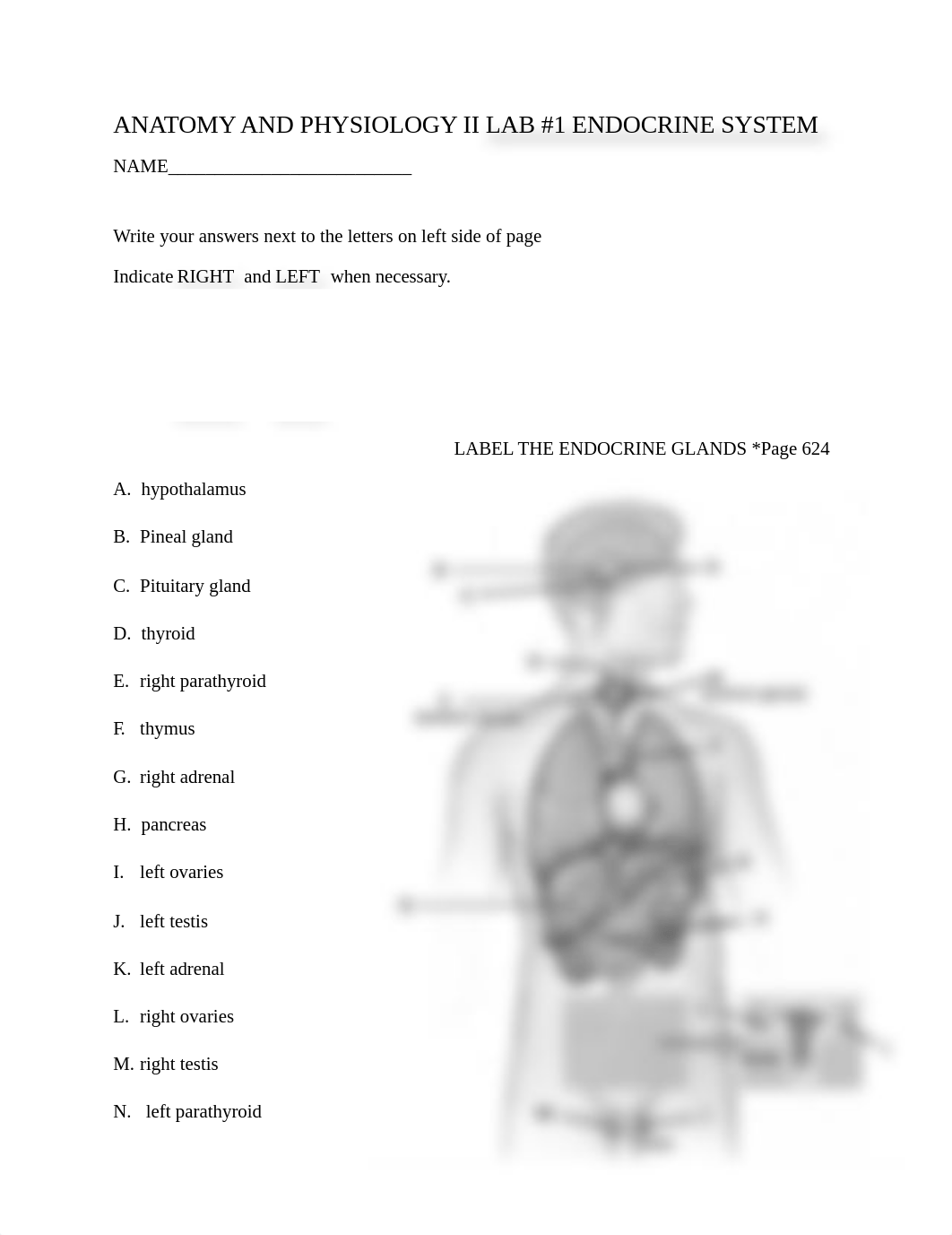 Lab #1 - Endocrine Lab Packet Spring 2021.docx_dvaf7vpvoy4_page1