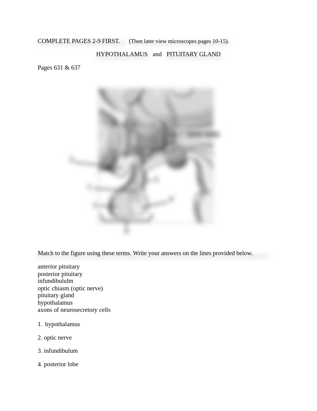 Lab #1 - Endocrine Lab Packet Spring 2021.docx_dvaf7vpvoy4_page2