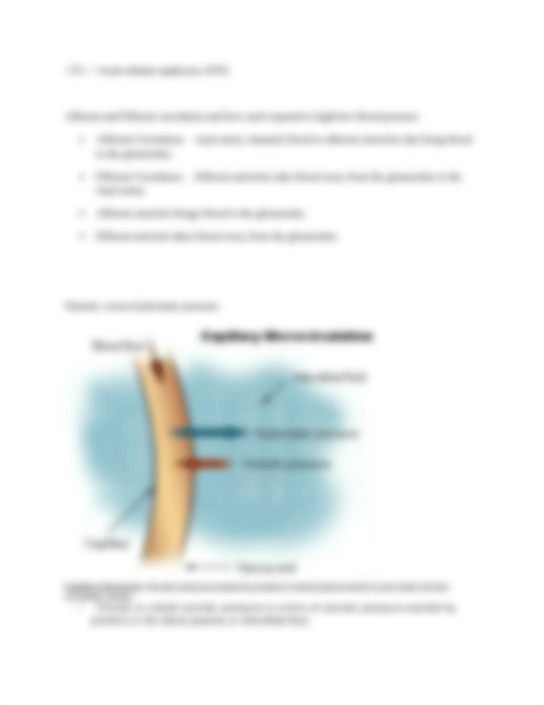 Exam+4+Study+Guide.docx_dvasei5tl67_page4