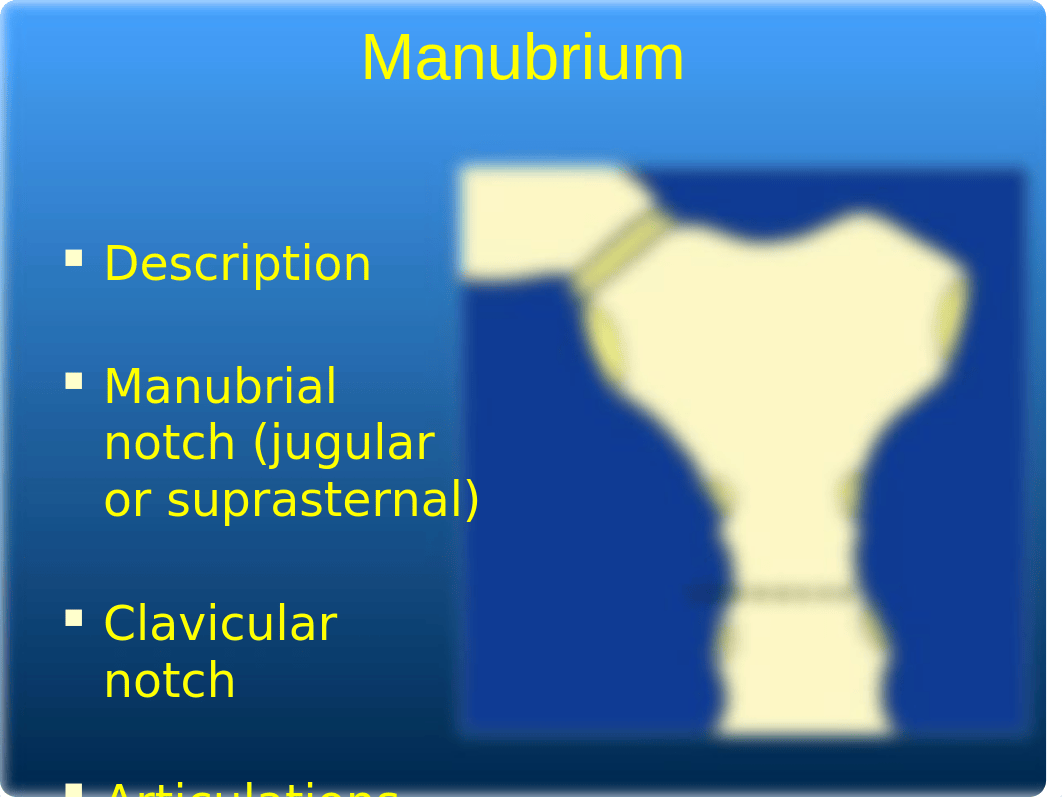 8 BonyThorax ppt(1).pptx_dvb2wwb72ig_page4