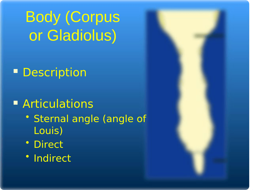 8 BonyThorax ppt(1).pptx_dvb2wwb72ig_page5