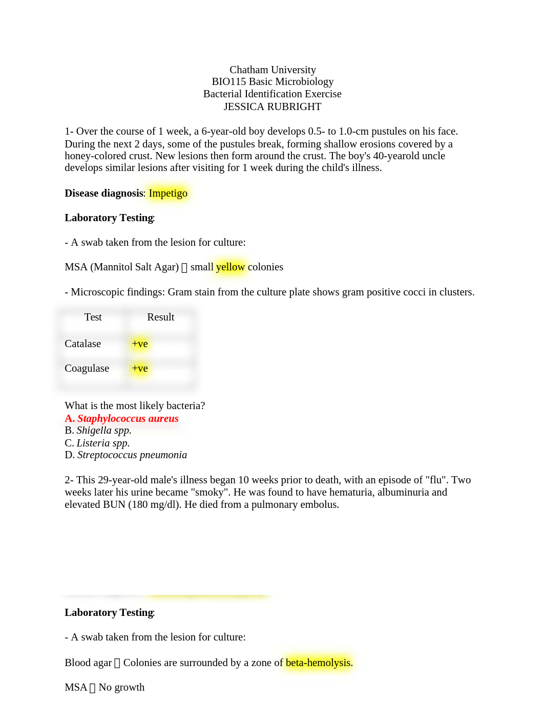 Bacterial Identification Exercise (2).docx_dvb8db6jbr4_page1