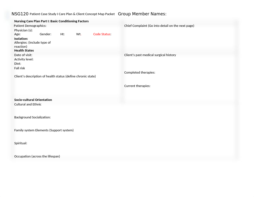 4.22.22 NSG 120 Patient Care Plan Project.docx_dvb9wrsamun_page2