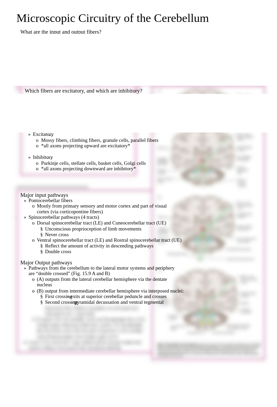 Neuro Exam 4 - Unit 11-12 Study Guide!.pdf_dvbeibo57wx_page2