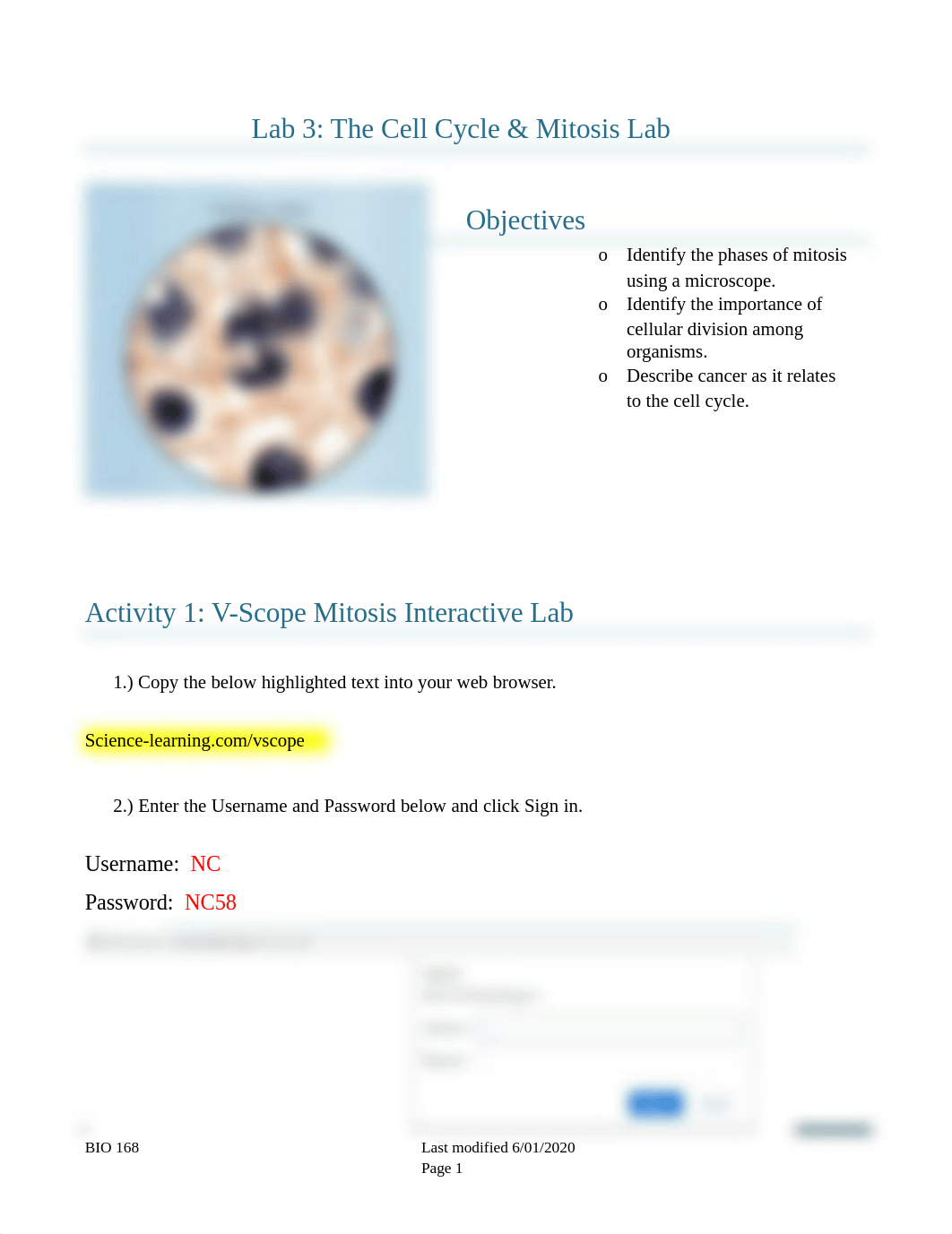 Lab 3 The Cell Cycle and Mitosis Histology Lab (3) (3).docx_dvbzlu9hv89_page1