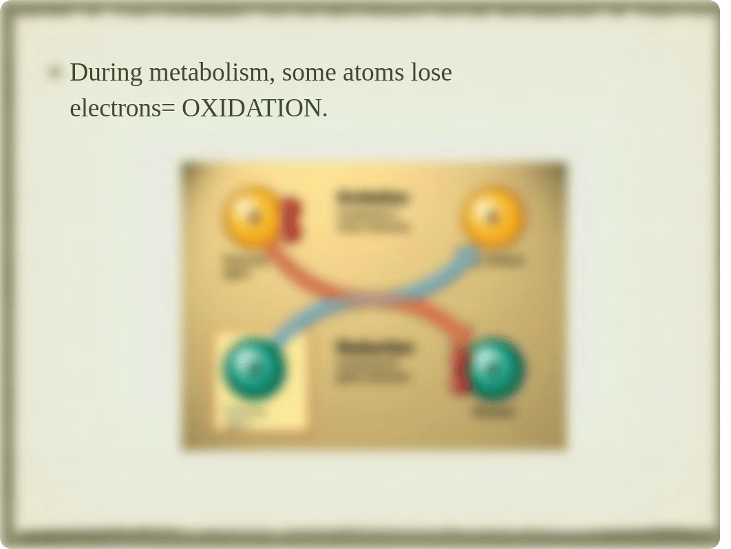 Chapter 8 Antioxidants_dvc3syxoqe8_page3