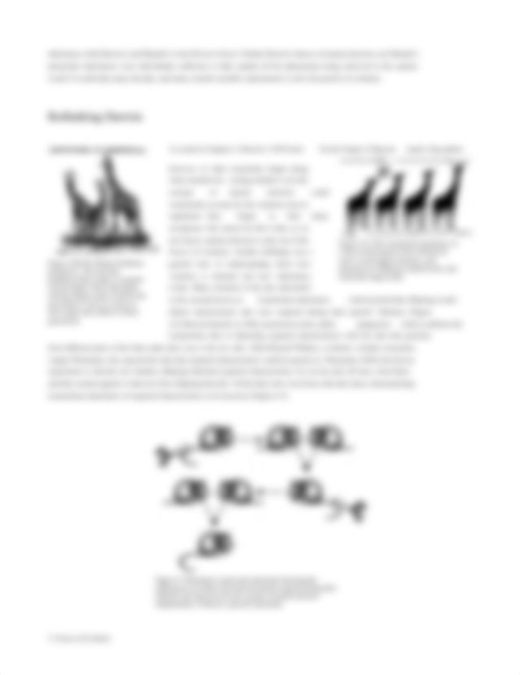 Chapter-4-Forces-of-Evolution-7.0.pdf_dvc445kascv_page4