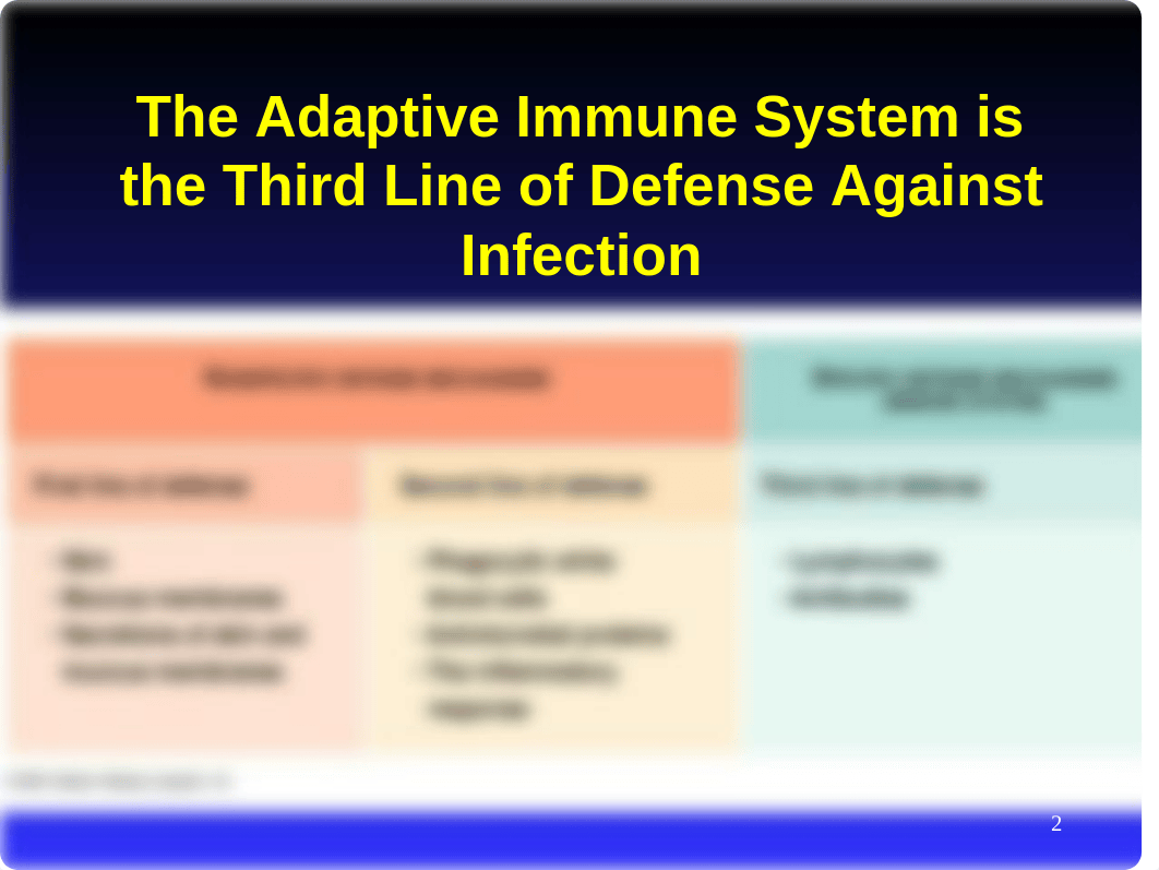 Kuby Immunology: Chapter 4 powerpoint_dvc6dxevmiq_page2