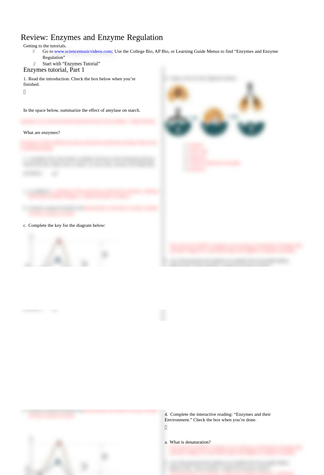 Enzymes-SMV-2019 .docx_dvc7pc72gov_page1