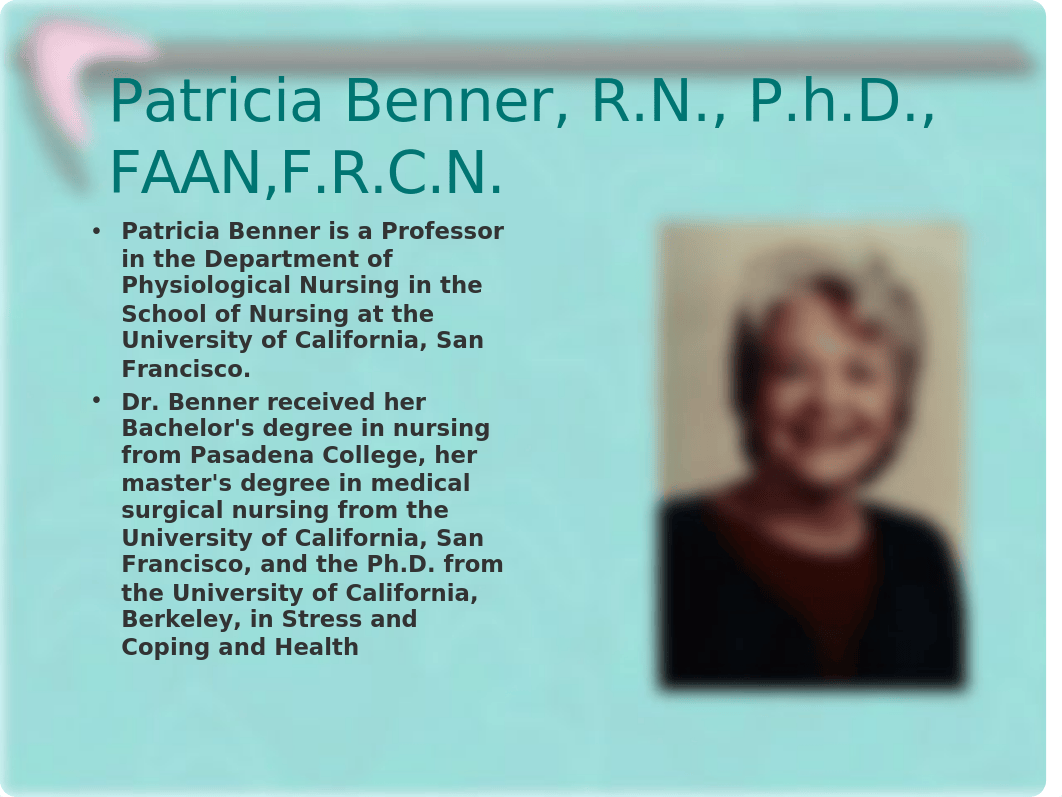 Patricia Benner 1-2.ppt_dvc8lmtwehz_page4