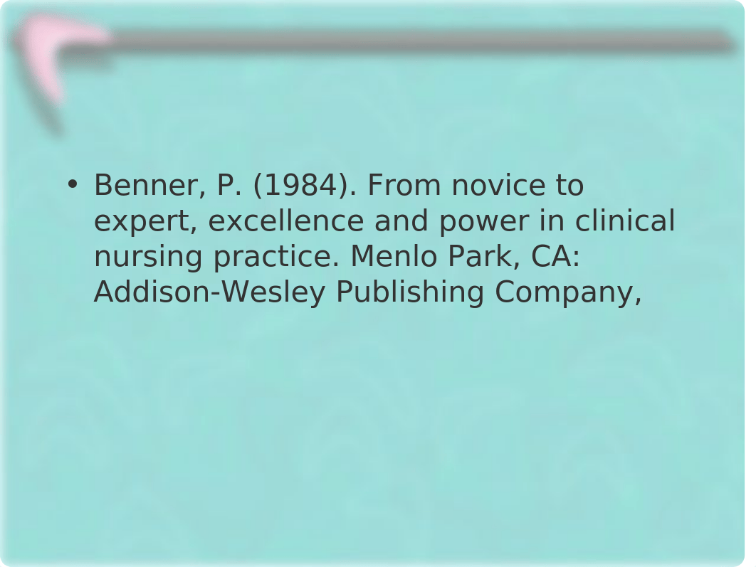 Patricia Benner 1-2.ppt_dvc8lmtwehz_page2