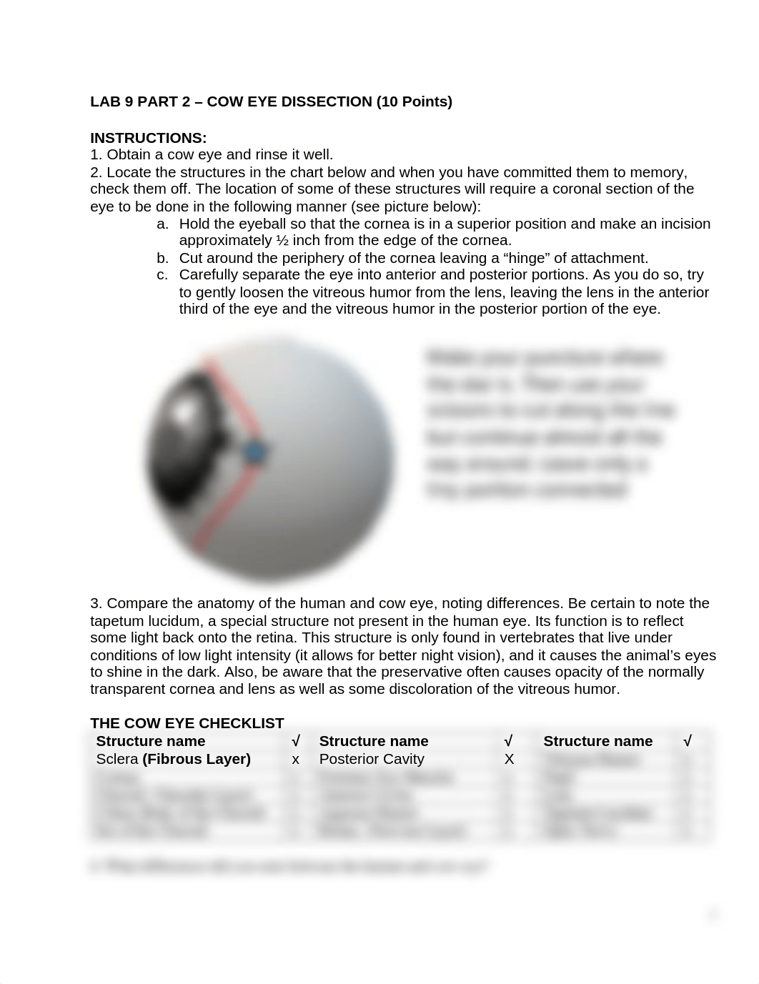 Lab 9 Part 2 Cow Eye - Copy (2).odt_dvcaf9vpolt_page1