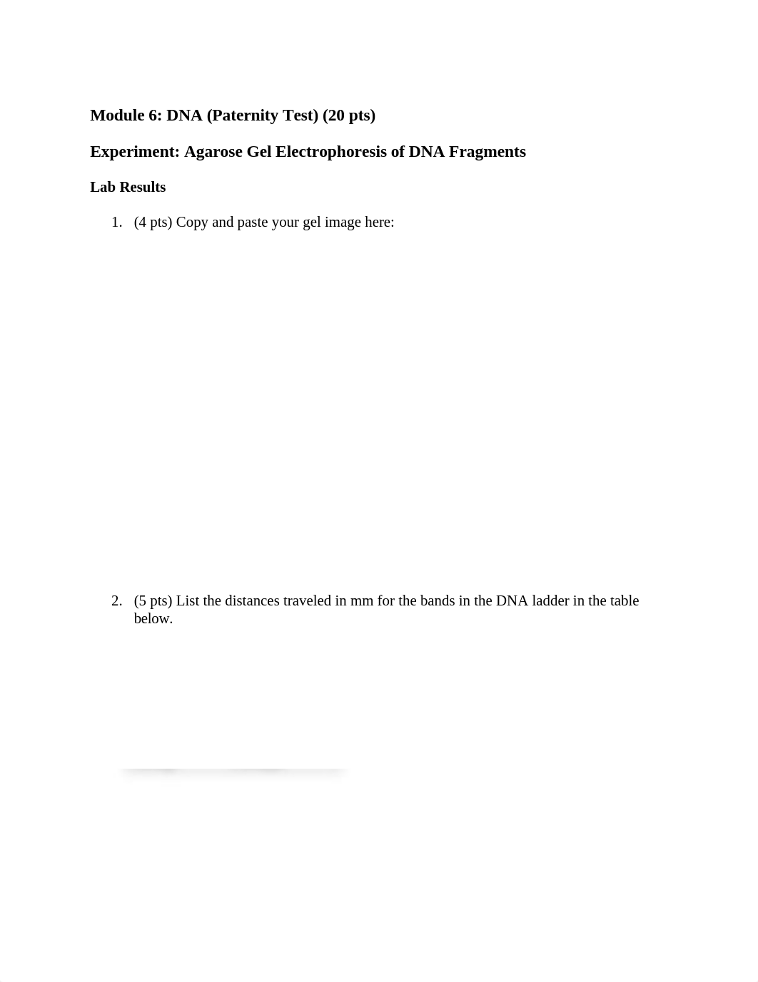 DNALabReport (1).docx_dvcar9lbpjx_page1